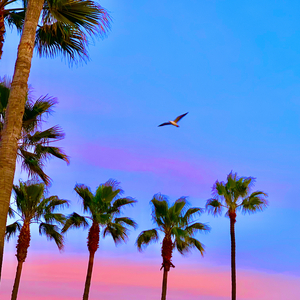 综合国产天天影视91太初
